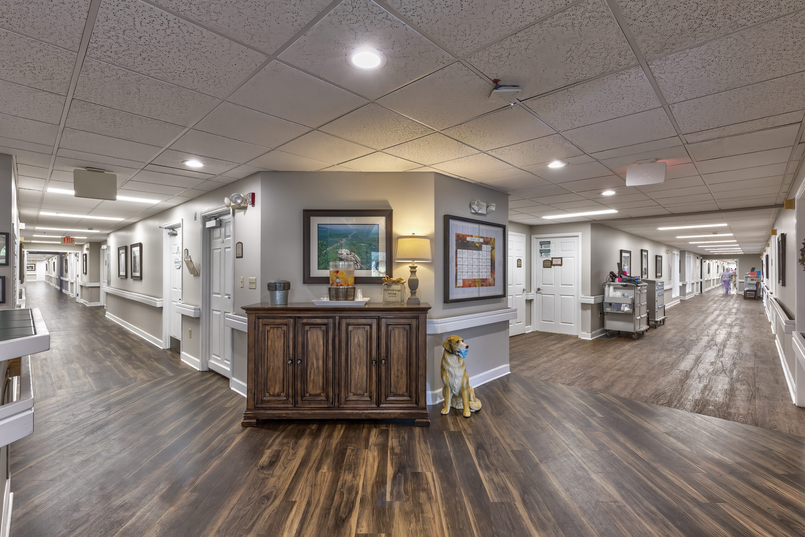 Cherry Springs Village in Hendersonville